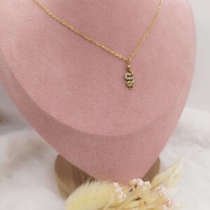 Collier&#x20;Ras&#x20;De&#x20;Cou&#x20;V&#x00E9;nom